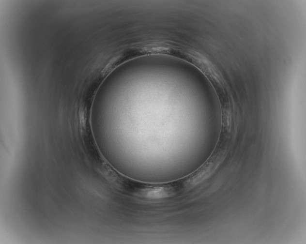 X0000112930326200908241305