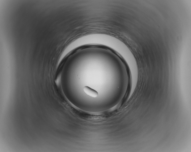 X0000112930327200908241305