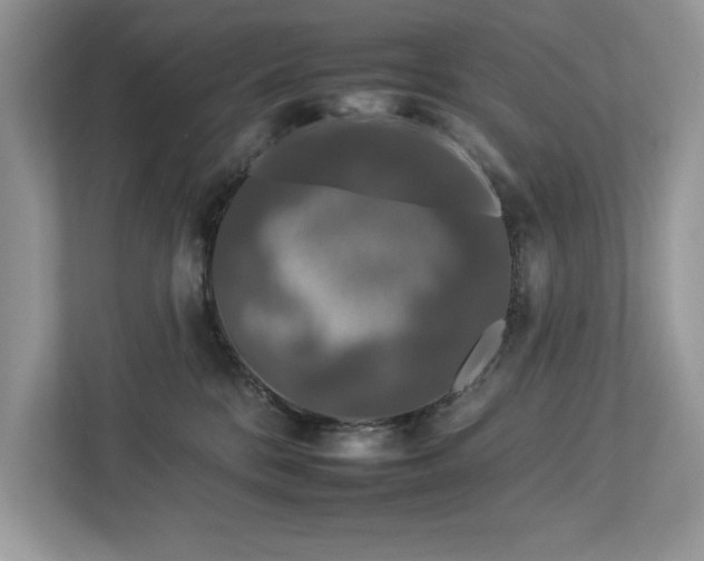 X0000112930328200908241305