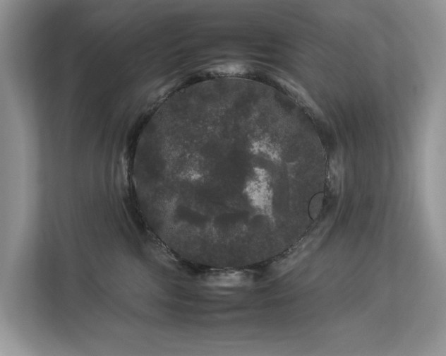 X0000112930330200908241305