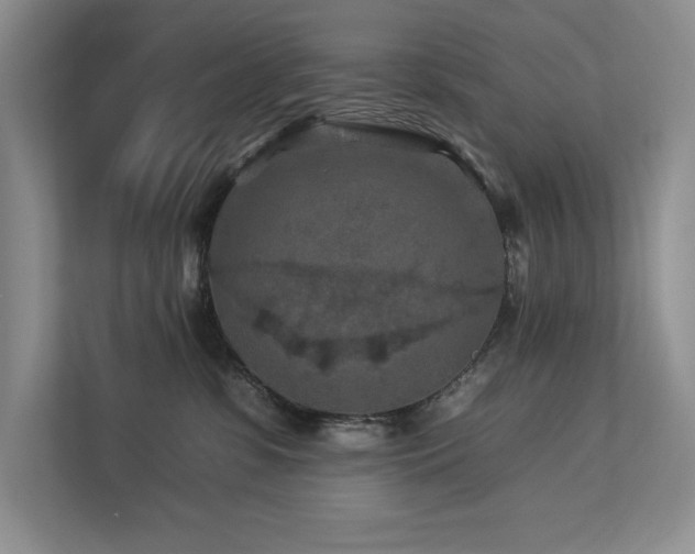 X0000112930331200908241305