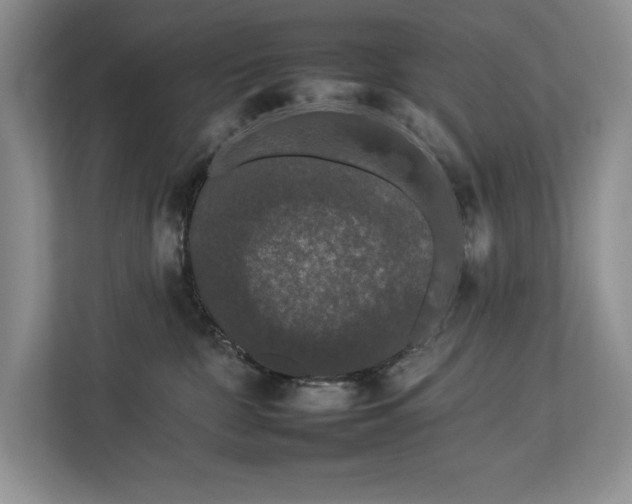 X0000112930332200908241305