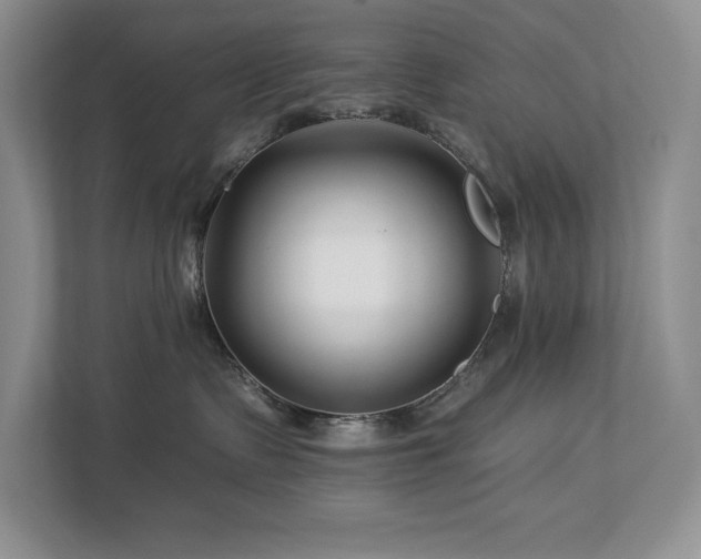 X0000112930335200908241305