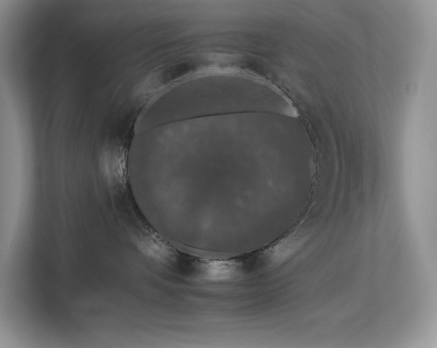 X0000112930336200908241305