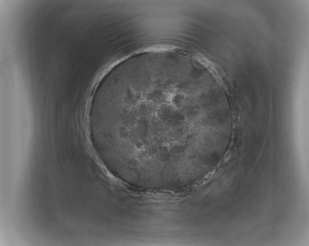 X0000112930337200908241304