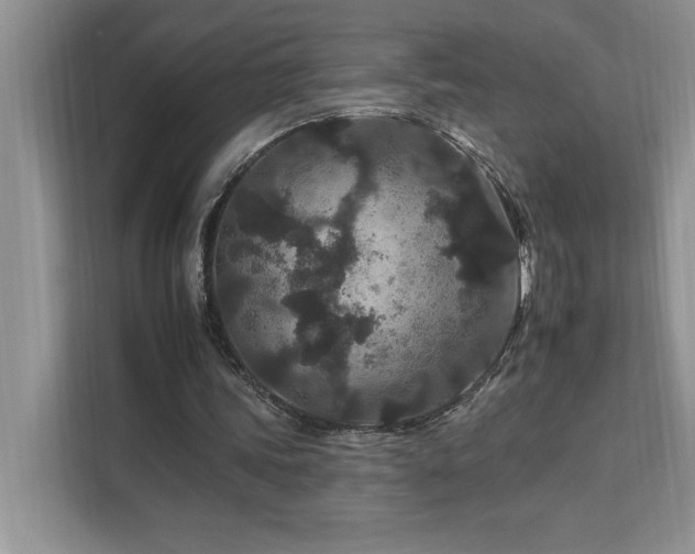 X0000112930339200908241305