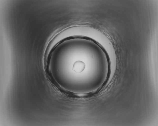 X0000112930340200908241305