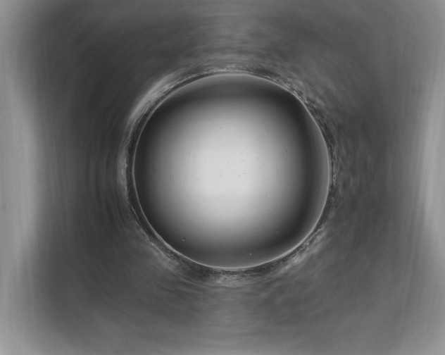 X0000112930341200908241305