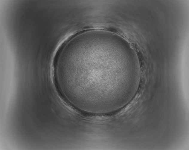 X0000112930342200908241305