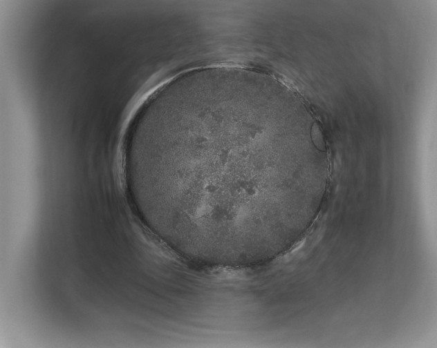 X0000112930343200908241305