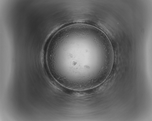 X0000112930346200908241305