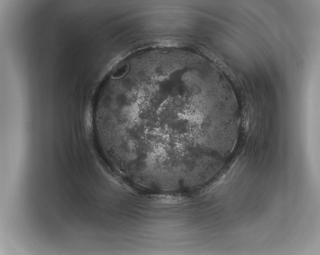 X0000112930347200908241305