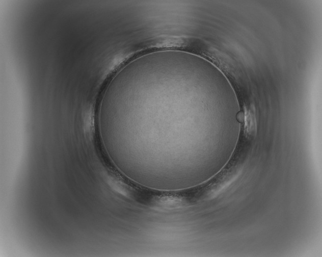 X0000112930348200908241305