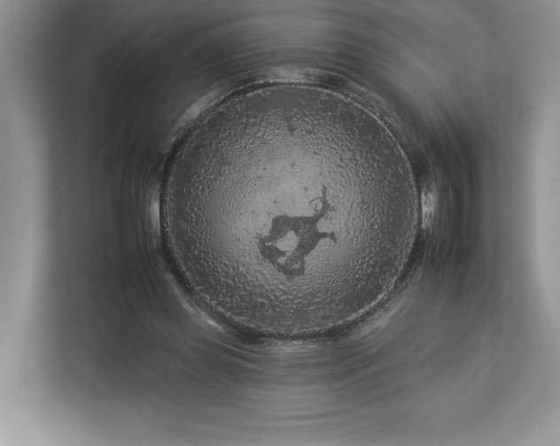 X0000112930349200908241305