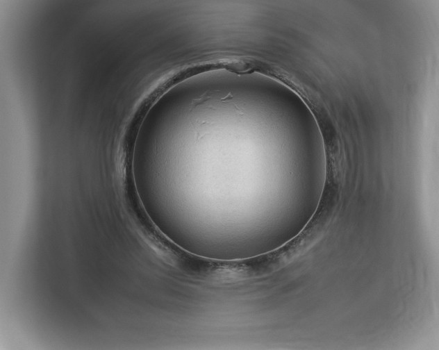 X0000112930350200908241305