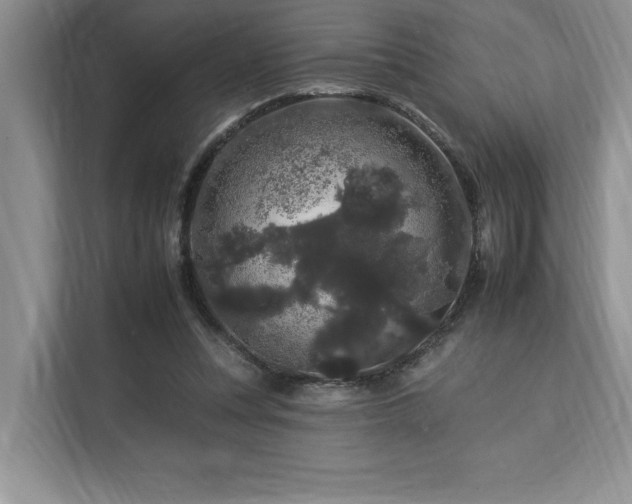 X0000112930351200908241305