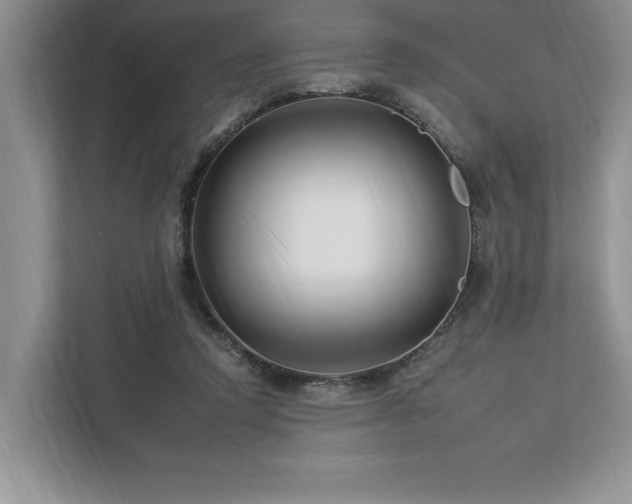 X0000112930354200908241305