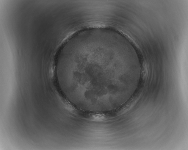 X0000112930355200908241305