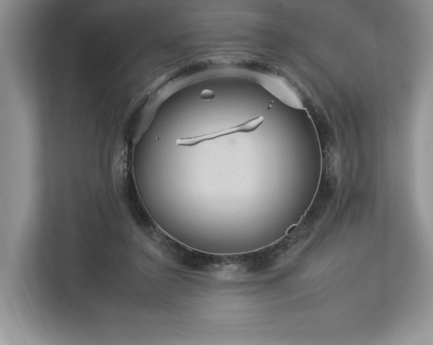 X0000112930356200908241305