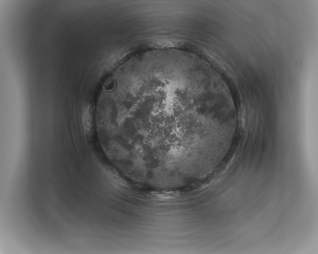 X0000112930359200908241305