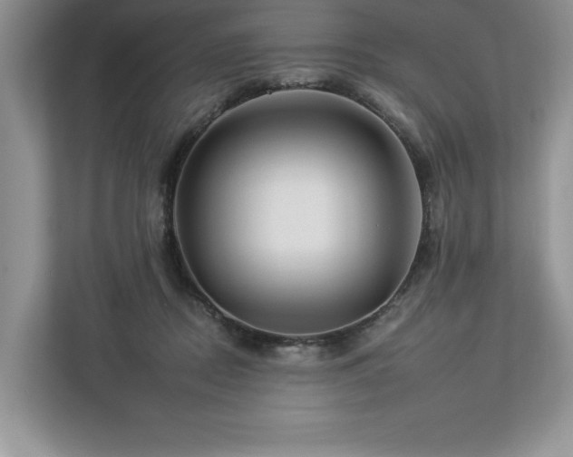 X0000112930362200908241305