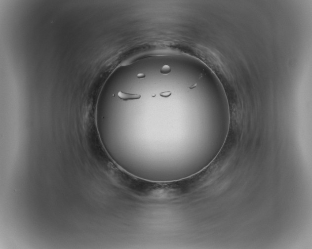 X0000112930364200908241305