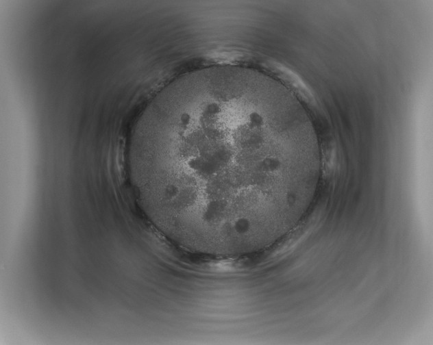 X0000112930365200908241305