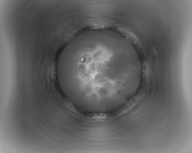 X0000112930369200908241305