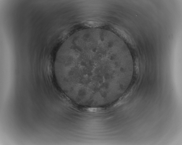 X0000112930371200908241305