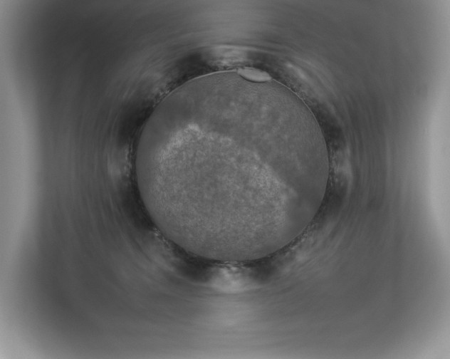 X0000112930372200908241305