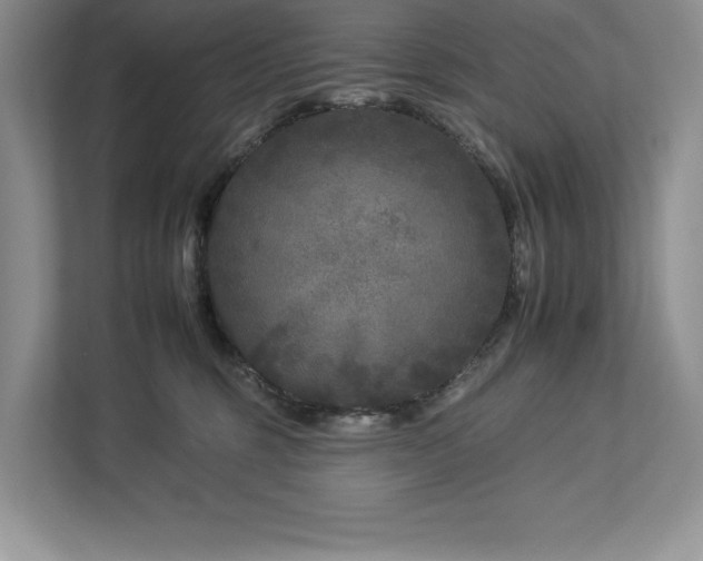 X0000112930375200908241305