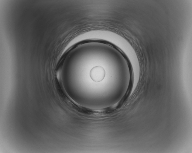 X0000112930376200908241305