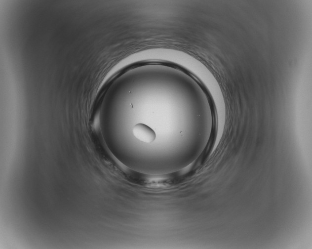 X0000112930380200908241305