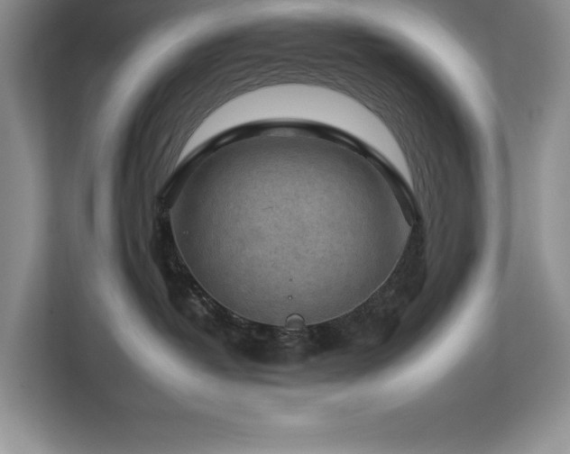 X0000112930382200908241305