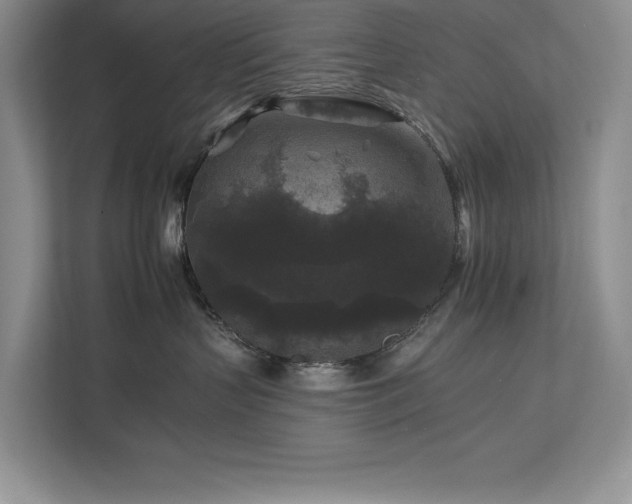 X0000112930383200908241305