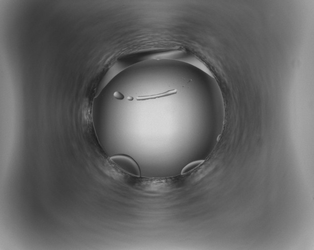 X0000112930384200908241305