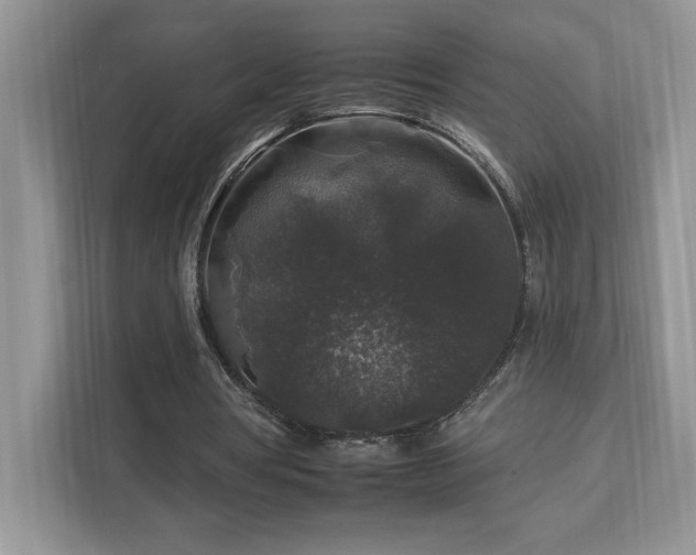 X0000112930386200908241304