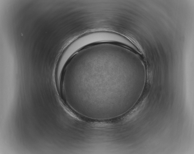 X0000112930389200908241304