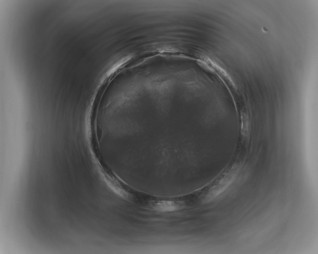 X0000112930390200908241304