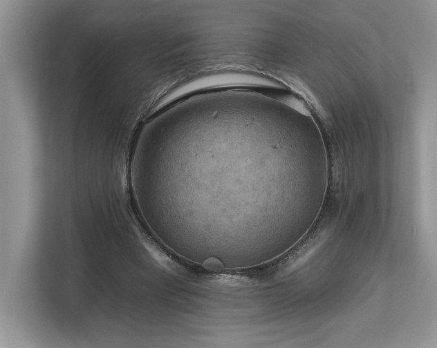 X0000112930393200908241304