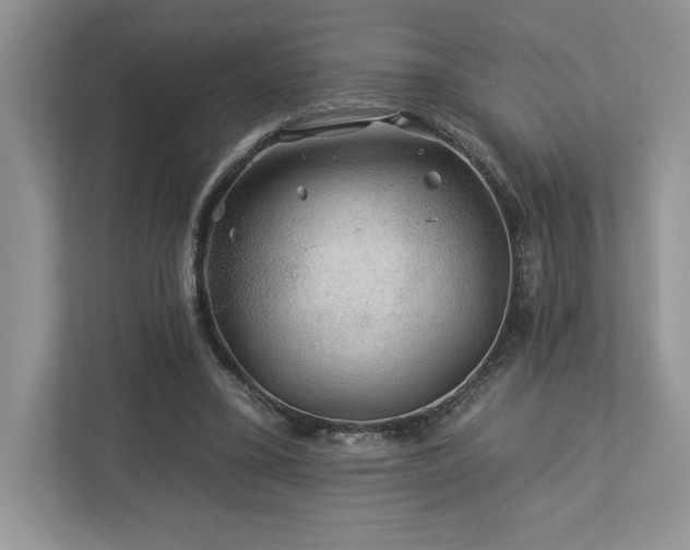 X0000112930395200908241304