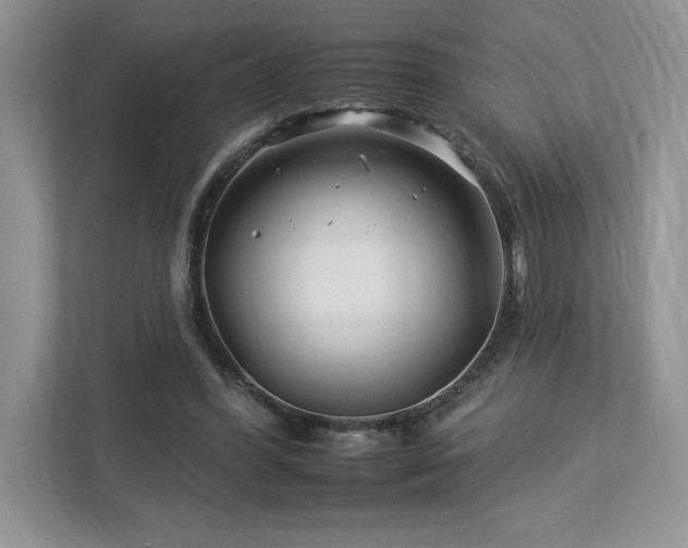 X0000112930396200908241304