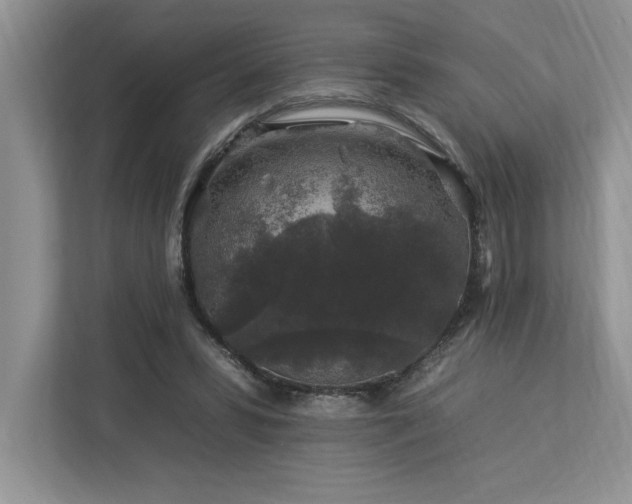 X0000112930399200908241304