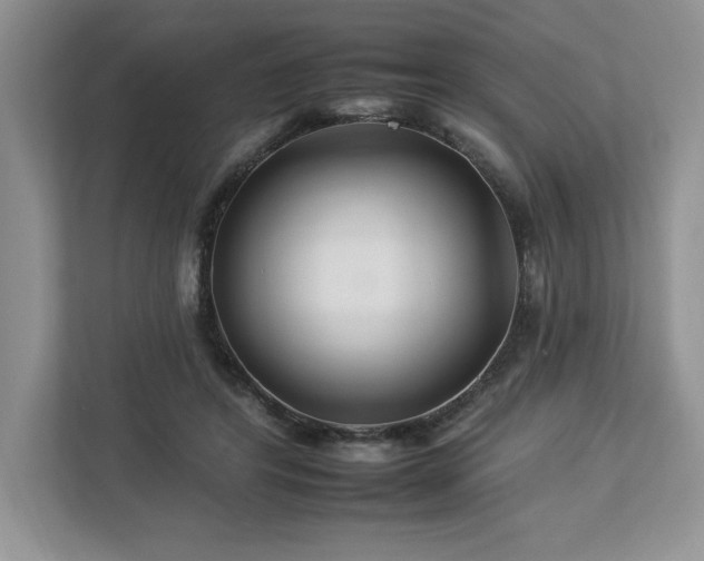 X0000112930404200908241304