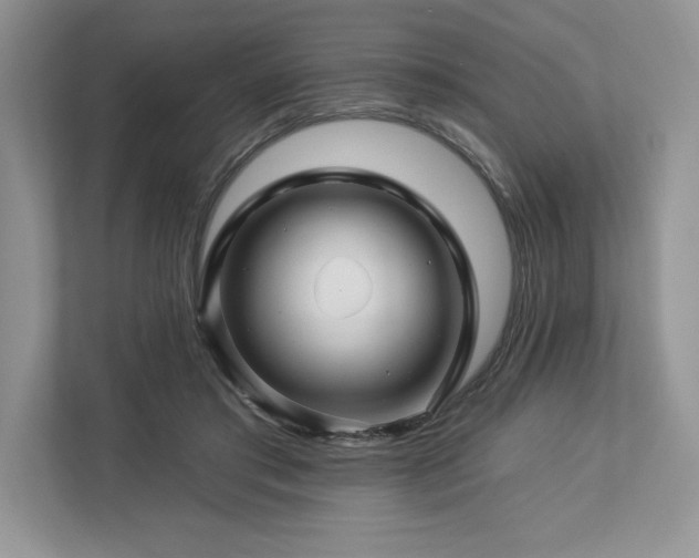 X0000112930405200908241304