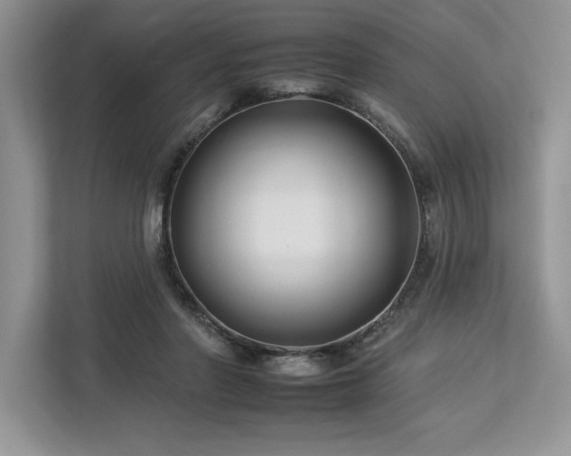 X0000112930406200908241304