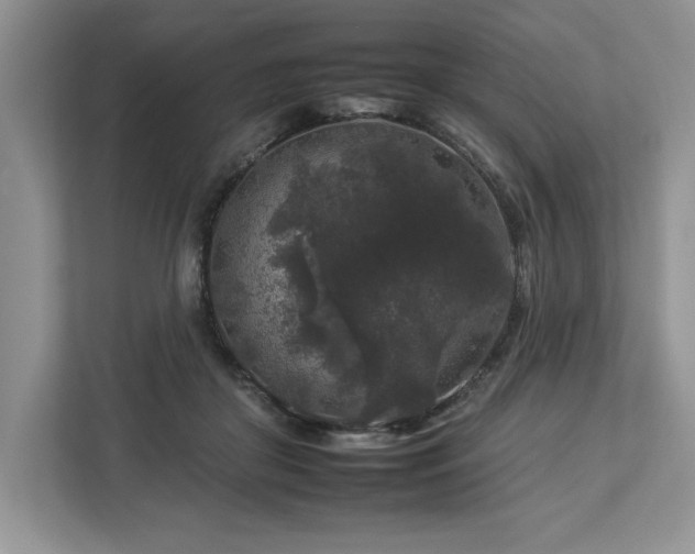 X0000112930410200908241304