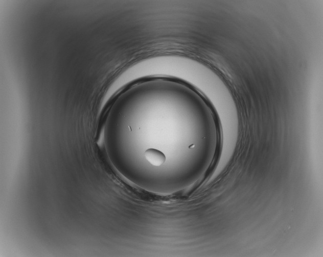 X0000112930411200908241304