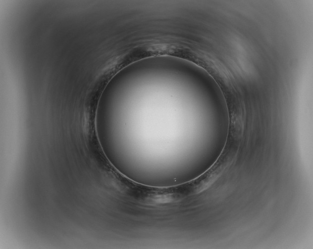 X0000112930416200908241304