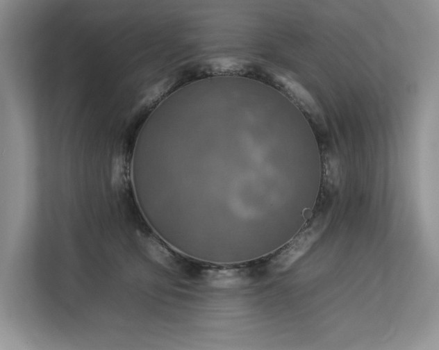 X0000112930419200908241304